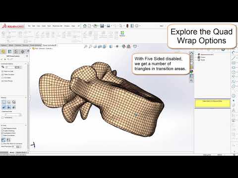 Quad Wrap Options Explained