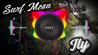 Download lagu Surf Mesa - ily (i love you baby) (feat. Emilee) (Bass Boosted) mp3