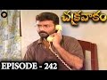 Episode 242 Chakravakam Telugu Daily Serial