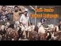 Shanu Bhai Ka Sabse Bada Bawaal Sabse Saste Main Season 2025 Bhiwandi Goat Offer 2025