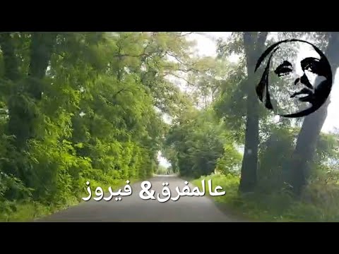 أديش كان في ناس عالمفرق 🥰 فيروز