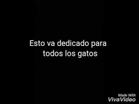 BEA PELEA X MS NINA X LA ZOWI DIME AVEL