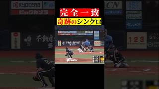 【完全一致】奇跡のシンクロ…!! #shorts
