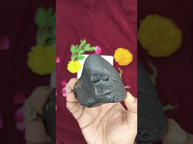 Exotic Giriraj Govardhan Shaligram Shila Set video
