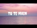 Tu Te Main | Bir Singh [ slowed + reverb ]
