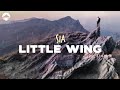 Sia - Little Wing | Lyrics