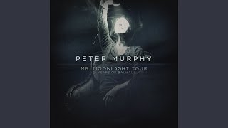 Endless Summer of the Damned (Live)