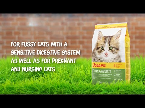 Josera Kitten Grainfree - For sensitive stomachs of fussy, nursing or pregnant cats.