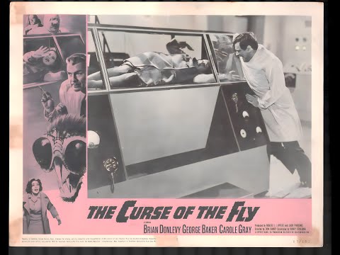 The Fly Collection | Curse of the Fly (1965)