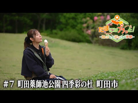 「たまにはプラっと！」　2024年5月17日放送