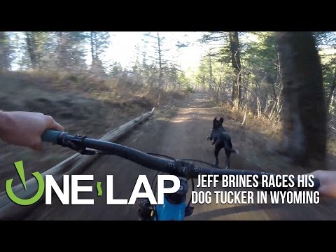 A Mountain Biker Races His Very Happy Pup Down A Trail, Struggles To Keep Up