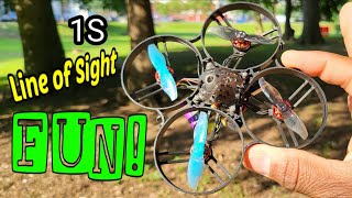 85mm 1S Whoop FRANKEN BUILD Park LOS Fun
