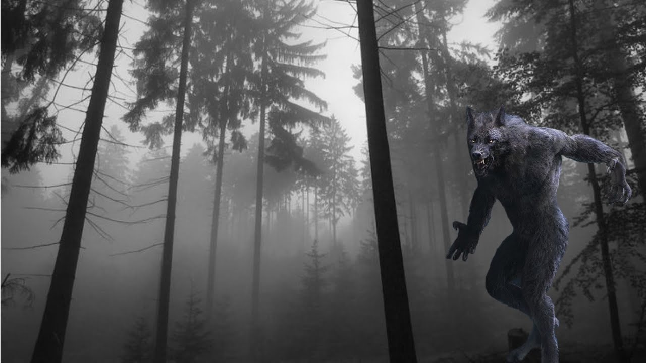 MEU EX - MARIDO É UM LOBISOMEM. (HISTÓRIA FANTÁSTICA)