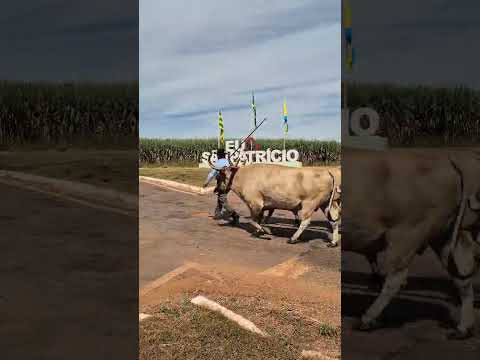 ROMARIA DIVINO PAI ETERNO_2026