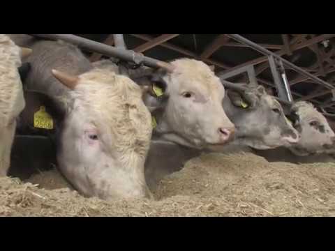 Može bolje ep. 48 10.03.2014. NAJAVA