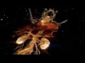 Cerrone - Supernature ( Dax Riders )