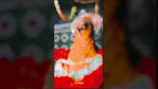 Download lagu Maaf Kari A Maiya Bhul Chuk Hamro #pawansingh #shortvideo #viral #ytshorts #youtubeshorts mp3