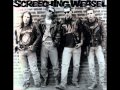 Screeching Weasel- I Don't Want to go Down to the Basement