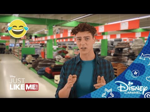 Just Like Me! | McSeagull - Dierenwinkel | Disney Channel NL