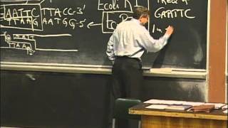 Basic Mechanisms of Cloning, excerpt 1 | MIT 7.01SC Fundamentals of Biology