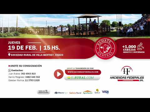 Remate General Ganadero en Villa Berthet, Chaco | +1.000 cabezas | Haciendas Federales