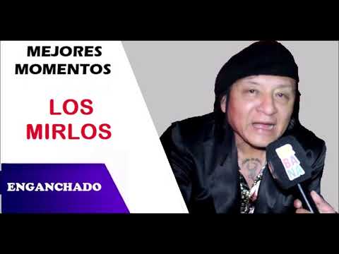 Los Mirlos mejores momentos Enganchado