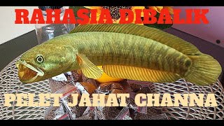 Download lagu RAHASIA DIBALIK PELET JAHAT CHANNA DAN CARA MEMBUAT RACIKAN || INDRA WAHYUDI TRI ATMAJA mp3 Download lagu RAHASIA DIBALIK PELET JAHAT CHANNA DAN CARA MEMBUAT RACIKAN || INDRA WAHYUDI TRI ATMAJA mp3