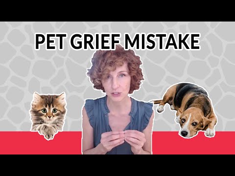 How to help your pet with pet grief and what NOT to do