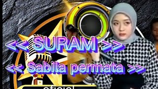 Download lagu SURAM //SABILA PERMATA//cocok buat penghantar tidur mp3 Download lagu SURAM //SABILA PERMATA//cocok buat penghantar tidur mp3