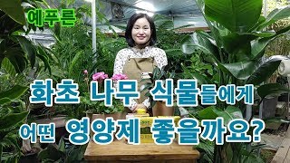 화초 나무 식물들에게 어떤영양제가 좋을까요? 알려드릴게요