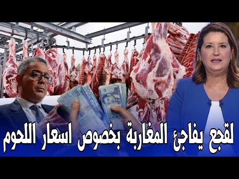عاجل اخبار المغرب اليوم الجمعة 28 غشت 2026 - لقجع يفاجئ المغاربة بخصوص اسعار اللحوم الحمراء