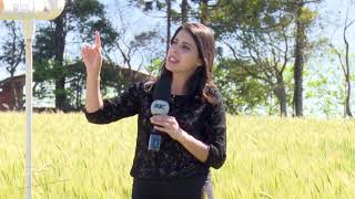 Miniatura do vídeo