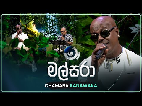Malsara (මල්සරා) | Chamara Ranawaka | Maa (මා) | TV Derana