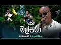 Malsara මල්සරා Chamara Ranawaka Maa මා TV Derana