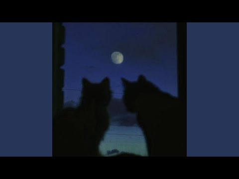 i watch the moon (tek it acoustic)