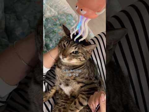 꼴보기 싫은데 시원해서 참음