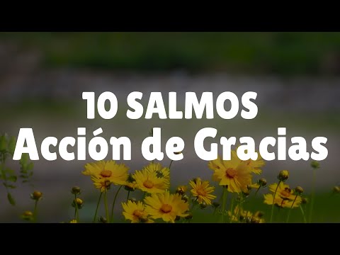 The most beautiful psalms of THANKSGIVING - 10 Psalms to thank God