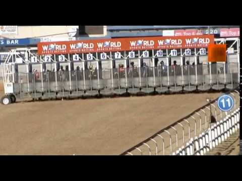 GOLDEN BELLE - World Sports Betting Camellia Stakes (Gr2)