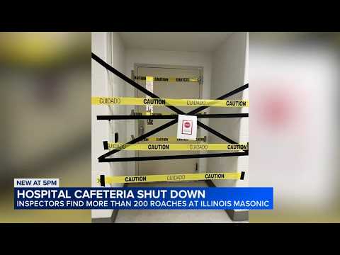 Cockroach infestation leads to suspension of Chicago hospital ...