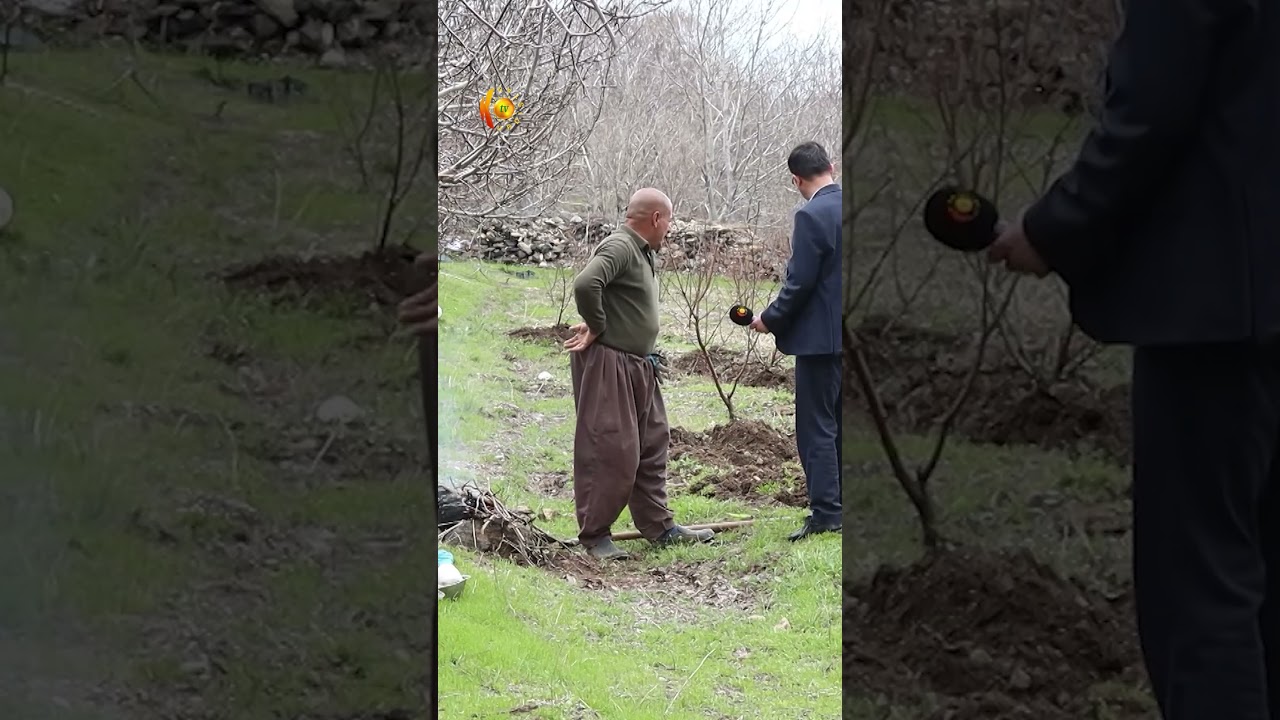 ڤیدیۆ | ئەمساڵ بەهۆی سەرما و تەزرە زۆرێك لە دارەكان بەرهەمیان نابێت