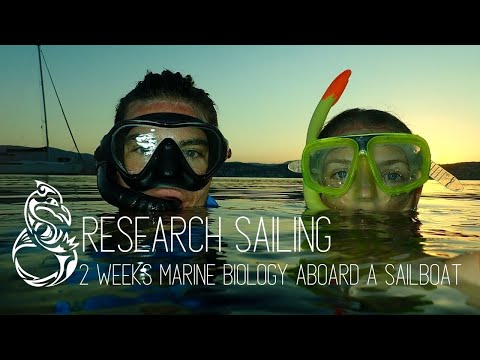 MARINE CONSERVATION: Research Boat expedition summary