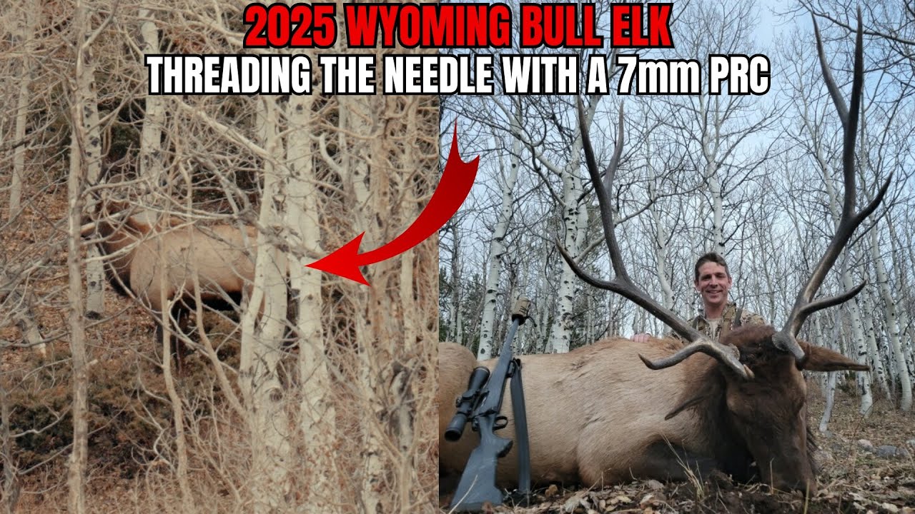 7mm PRC Elk Hunt | R&K Hunting Company Wyoming Elk Hunt