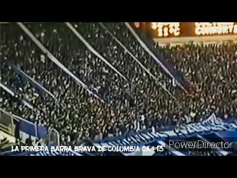 "Por qué los COMANDOS AZULES #13 son la primera barra brava de Colombia?" Barra: Comandos Azules • Club: Millonarios