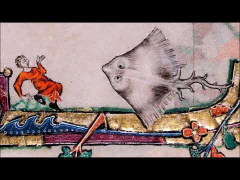 Nicolae Brânduş (1935-2023): Fatum (2018)