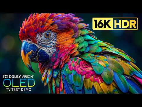BEAUTIFUL OLED TEST DEMO | 16K HDR 120 fps Dolby Vision (8K/4K Video TV)