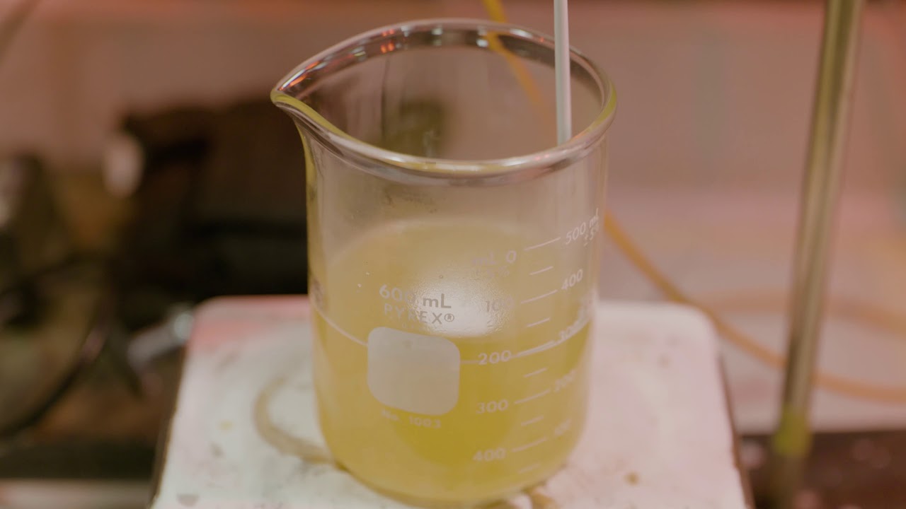 Making a Gelatin Emulsion