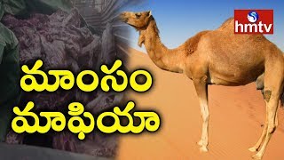Illegal Camels Meat Mafia Busted In Nalgonda District | Latest Updates | hmtv