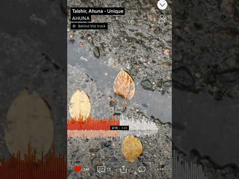 Ahuna Taishir - Unique