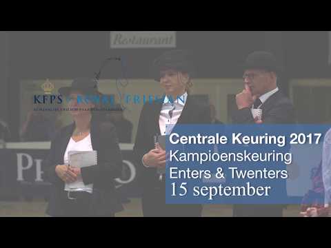 Centrale Keuring 2017 kampioenschap enters en twenters
