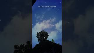 Download lagu Lirik lagu kalih welas denny caknan mp3